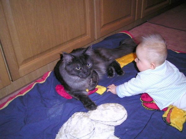 Undercover-Coon´s Bild 6 Dezember 2004