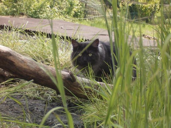 Undercover-Coon´s Bild 17 Mai 2005