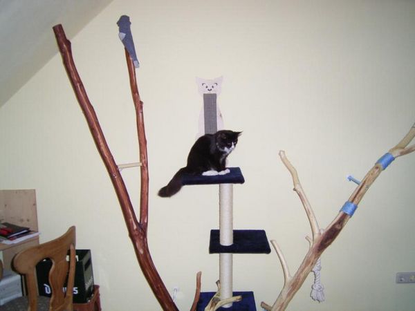 Undercover-Coon´s Bild 9 Juli 2005