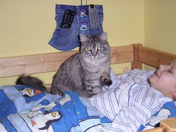 Undercover-Coon´s Bild 18 Dezember 2005