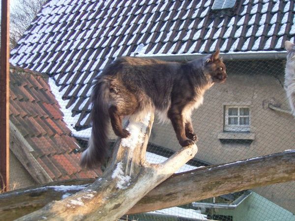 Undercover-Coon´s Bild 14 März 2006