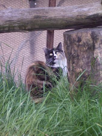 Undercover-Coon´s Bild 19 Juni 2006