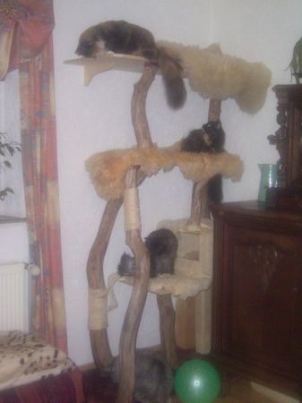 Undercover-Coon´s Bild 8 November 2006