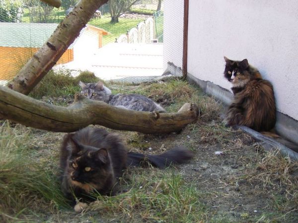 Undercover-Coon´s Bild 25 April 2007