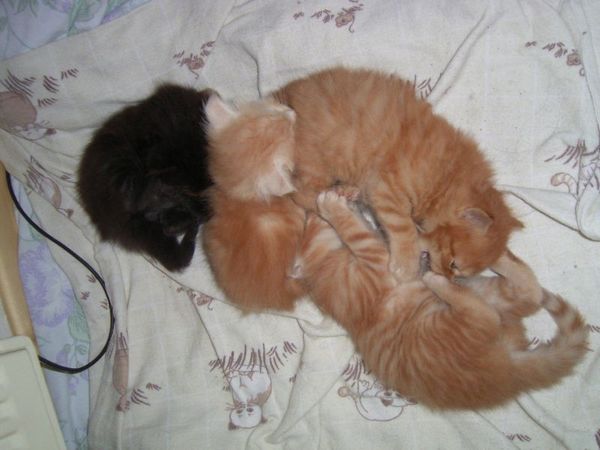 Undercover-Coon´s Bild 6 Mai 2007