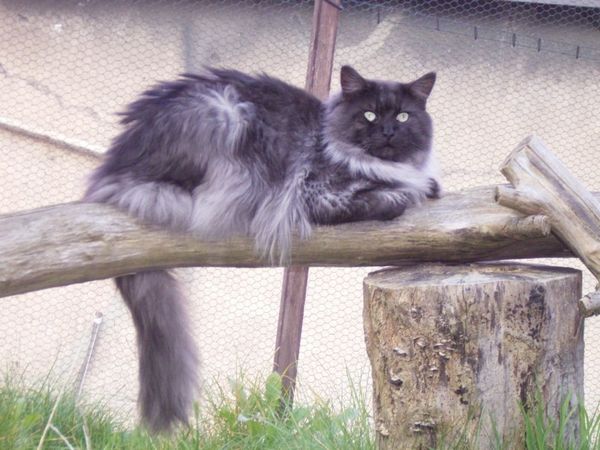 Undercover-Coon´s Bild 1 September 2007
