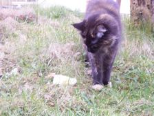 Undercover Coon´s Bild 12 März 2008