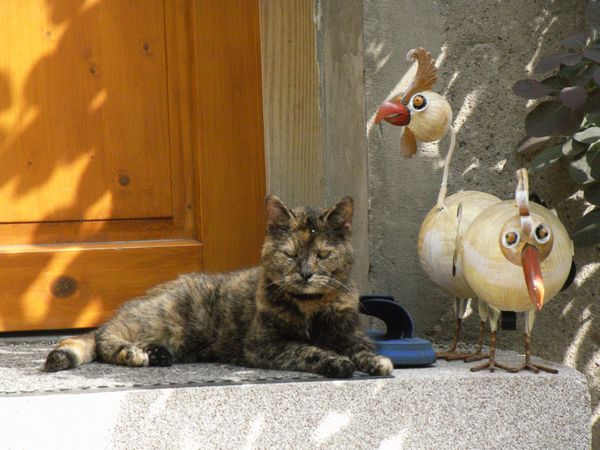 Undercover-Coon´s Bild 4 Mai 2008