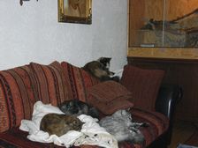 Undercover Coon´s Bild 4 Oktober 2008
