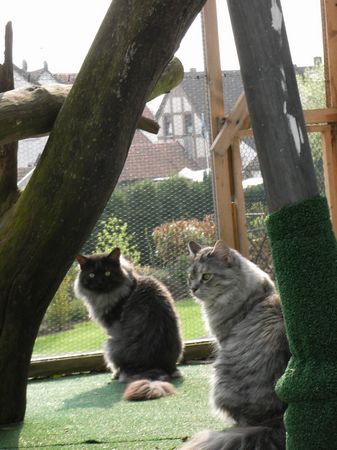 Undercover-Coon´s Bild 14 April 2009