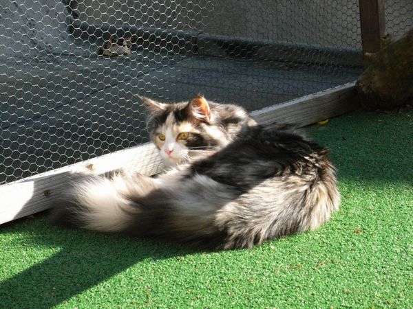 Undercover-Coon´s Bild 7 Mai 2009