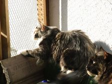 Undercover Coon´s Bild 10 Mai 2009