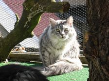 Undercover Coon´s Bild 25 Juli 2009