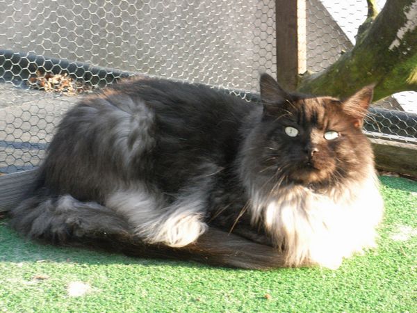 Undercover-Coon´s Bild 23 September 2009