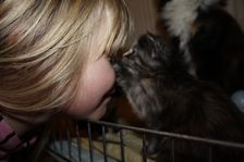 Undercover Coon´s Bild 8 November 2010 Undercover Coon´s Bild 8 November 2010