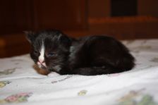 Undercover Coon´s Bild 21 November 2010 Undercover Coon´s Bild 21 November 2010