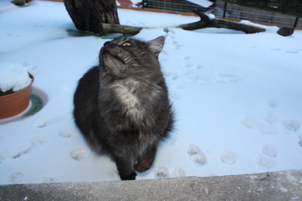 Undercover-Coon´s Bild 45 Dezember 2010