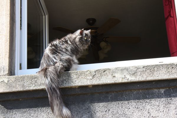 Undercover-Coon´s Bild 12 April 2011