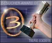 Besucher-Award