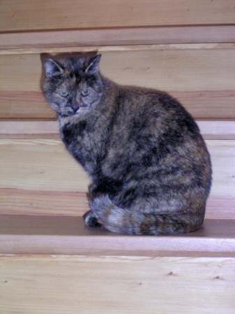   Bild 7