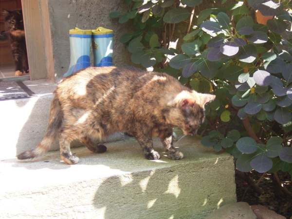   Bild 9