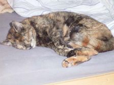 Effi Bild 10 Effi Bild 10