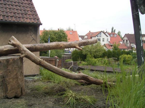 Katzendach: Erste Gestaltung im Mai 2005