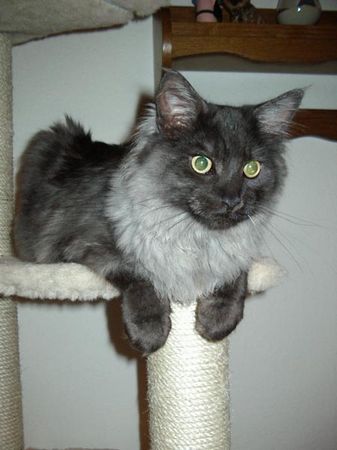 Pino mit 6 Monaten Bild 7