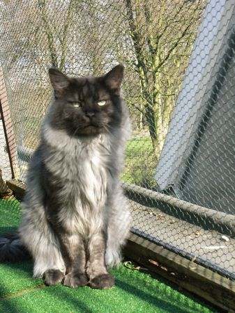 Pino über sich Bild 6