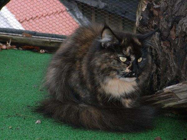 Balendis über sich Bild 9