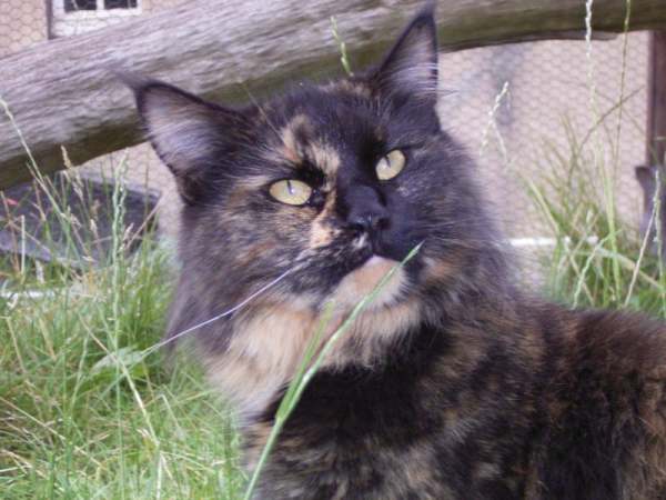 Balendis über sich Bild 10