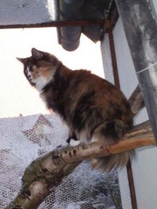 Choci über sich Bild 6 Choci über sich Bild 6