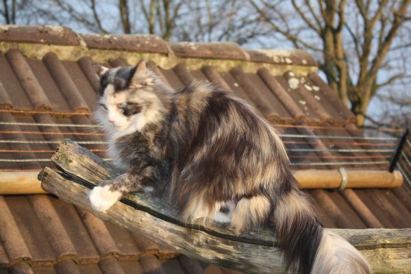 Emma mit fast 3,5 Jahren Bild 14