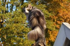 Emma mit fast 3 Jahren Bild 13