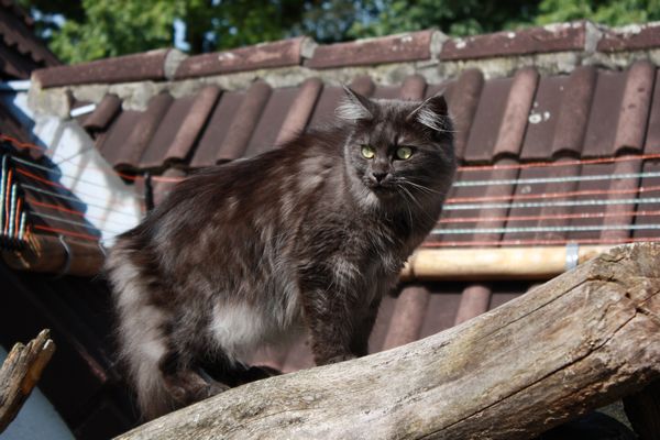 Flo mit 1,5 Jahren Bild 11
