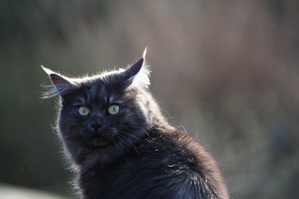 Flo mit 2 Jahren Bild 12