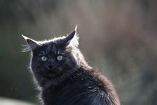 Flo mit 2 Jahren Bild 12