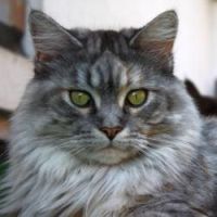 Isabeau The Space Traveller