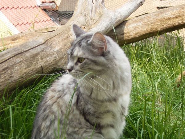 Isi mit 1,5 Jahren Bild 3