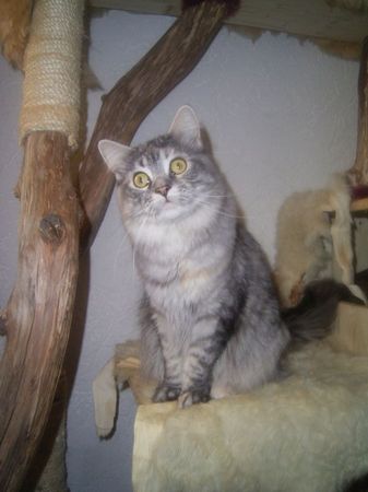 Isi mit 2 Jahren Bild 4