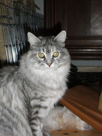 Isi mit 4 Jahren Bild 7