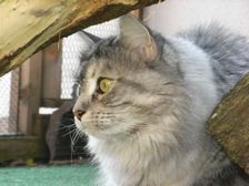 Isi über sich Bild 3