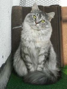 Isi über sich Bild 4