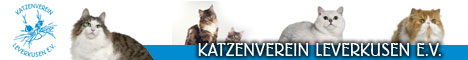 KVL