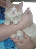 Angelo am 24.04.2005 Bild 7