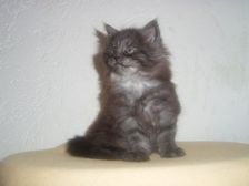 Curly-Sue am 14.01.2007 Bild 38 Curly-Sue am 14.01.2007 Bild 38