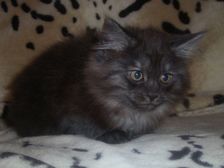 Curly-Sue am 11.02.2007 Bild 88 Curly-Sue am 11.02.2007 Bild 88