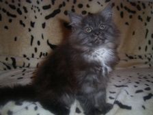 Curly-Sue am 11.02.2007 Bild 90 Curly-Sue am 11.02.2007 Bild 90