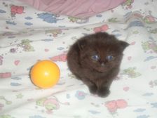 Curtis am 17.12.2006 Bild 11