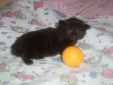 Curtis am 17.12.2006 Bild 14